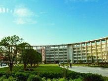 荆楚理工吃瓜,揭秘校园热点事件背后的真相