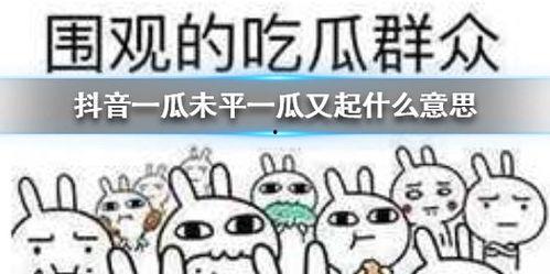 抖音吃瓜群众群