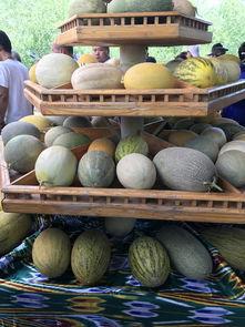 观朝吃瓜,吃瓜群众笑谈天下大事