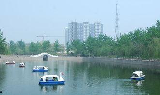 白沟公园吃瓜,畅享清凉时光