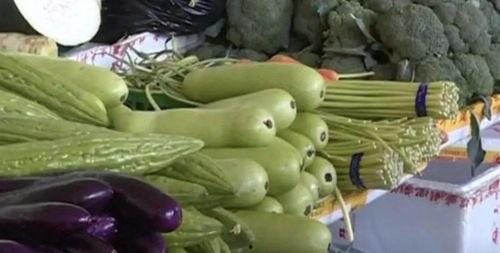 带薪吃瓜小品,带薪吃瓜，解锁快乐工作新姿势