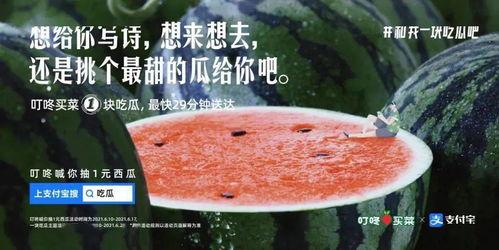 吃瓜 组,吃瓜群众视角下的娱乐圈风云录