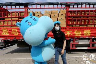 盒马吃瓜自由,揭秘现代都市人的休闲新风尚