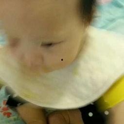 吃瓜小沐沐,揭秘娱乐圈那些不为人知的幕后故事