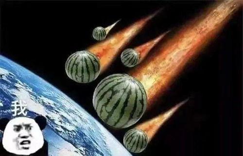 都有吃瓜文案句子,盘点那些引人热议的瓜界风云