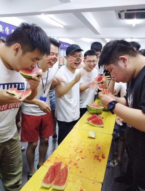 安静吃瓜的群众视频下载,视频背后的下载热潮