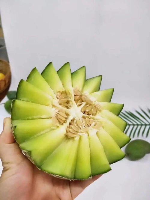 珑纹瓜怎么吃,解锁美味新体验