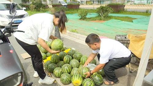 自由吃瓜的危害,揭秘潜在危害与应对策略