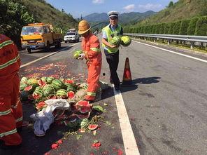 丽水最新吃瓜事件,揭秘网络热议背后的真相