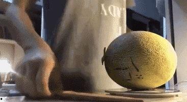 搞笑镜头带你吃瓜,揭秘搞笑瞬间