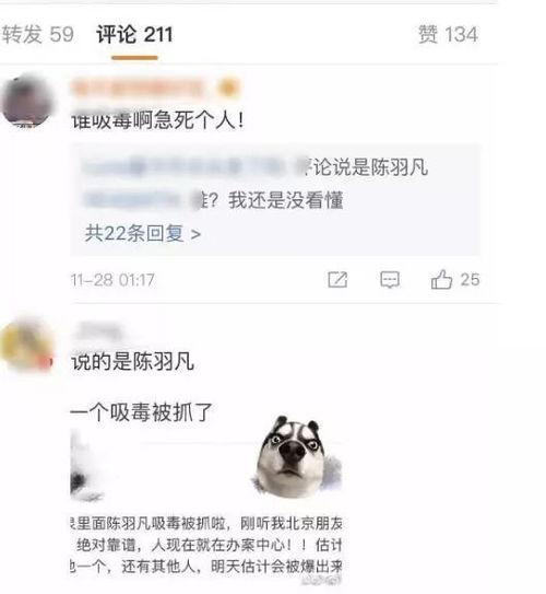 贵圈瓜怎么吃最好,教你最佳食用指南