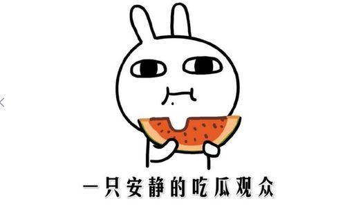 吃瓜事件来历,揭秘网络舆论的狂欢与反思