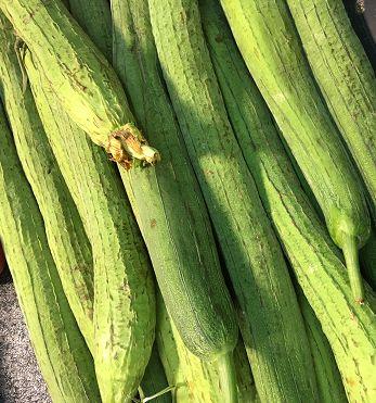 江南人吃的生瓜是什么瓜,探寻生瓜的独特风味