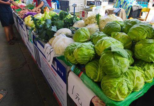 摊 牌 吃 瓜,揭秘摊牌吃瓜背后的趣味人生