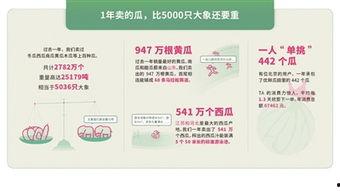 吃瓜消费报告图片,揭秘瓜界消费趋势与市场动向