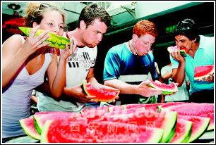 老外吃瓜故事,一场跨文化的趣味碰撞