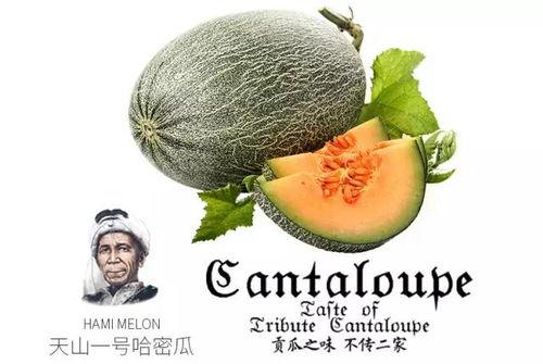 在线吃瓜公众号推荐,那些你不知道的吃瓜幕后故事