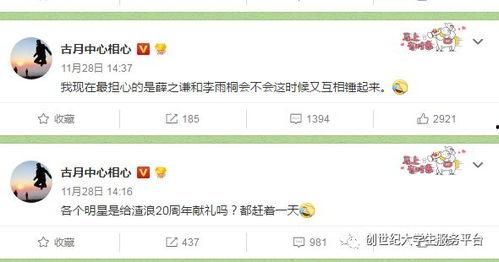 吃瓜比赛的评价,舌尖上的欢乐盛宴，谁将笑傲瓜界巅峰？