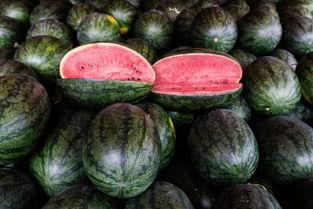 吃瓜接近尾声的视频素材,精彩瞬间回顾