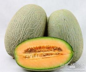天冷吃哈密瓜视频,揭秘天冷吃哈密瓜的甜蜜诱惑