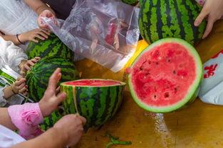 四川吃瓜最新视频大全集