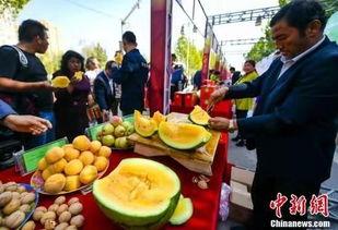 天津近期吃瓜新闻视频