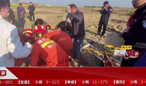 荆门吃瓜事件视频,一场引发热议的网络风波