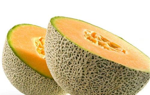 哈密瓜如何吃不寒凉呢视频,告别寒凉，享受夏日清凉美味