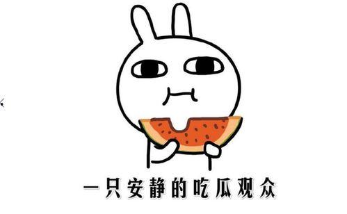 看吃瓜视频是什么意思,网络时代的娱乐新风尚