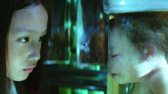 真实的吃瓜鬼故事视频,还原真实吃瓜鬼故事，揭秘灵异事件背后的真相