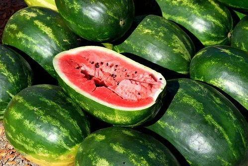 真实还原吃瓜视频大全