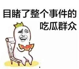 财迷小刘吃瓜视频大全下载,吃瓜视频大全下载攻略