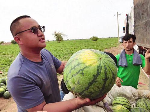 缅甸搞笑吃瓜图片高清视频,高清视频里的欢乐时光